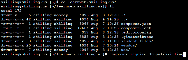 Use Composer to install Skilling